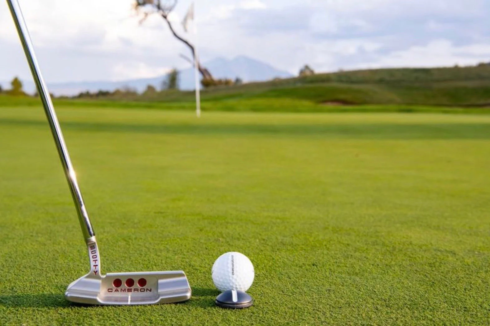 1 RAIL DIMPLE-DOMED + COIN by OnPointGolf.us - Image 3