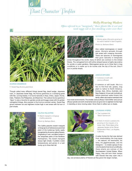All the Garden's a Stage by Schiffer Publishing - Image 3