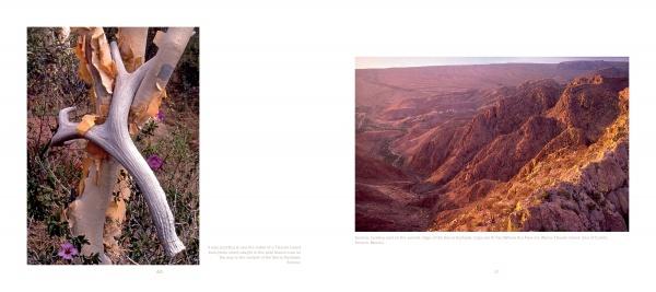 America's Outback by Schiffer Publishing - Image 4