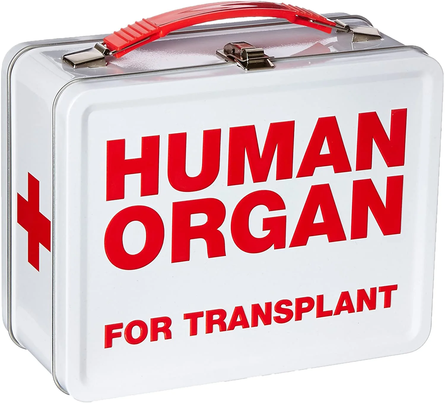 Aquarius Fun Boxes: Human Organ - Image 2