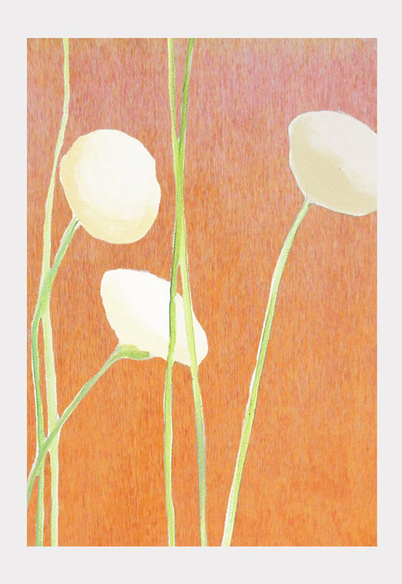 Art Print:  Cream Flowers on Orange by India & Purry - Image 2