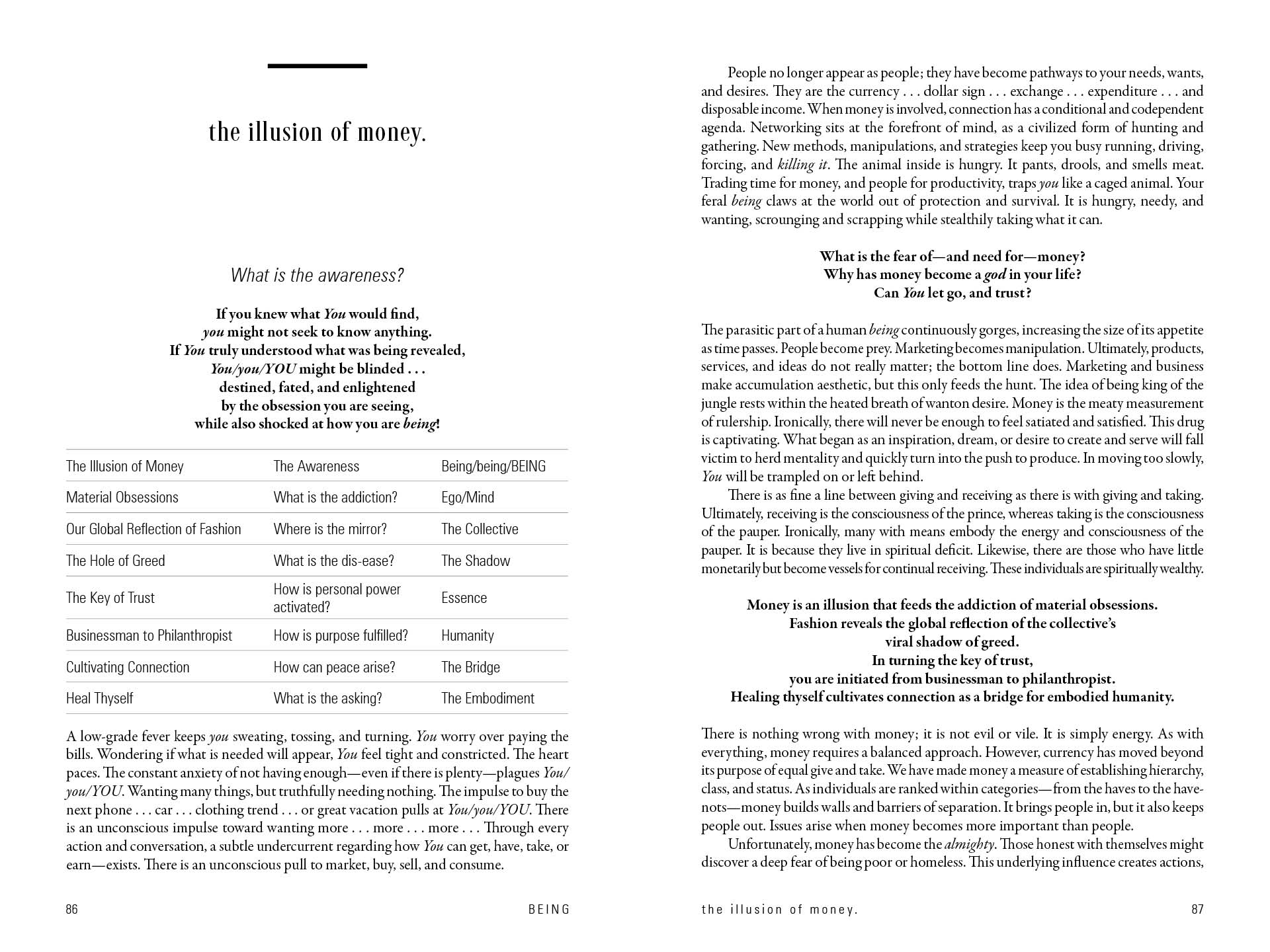 Being by Schiffer Publishing - Image 4