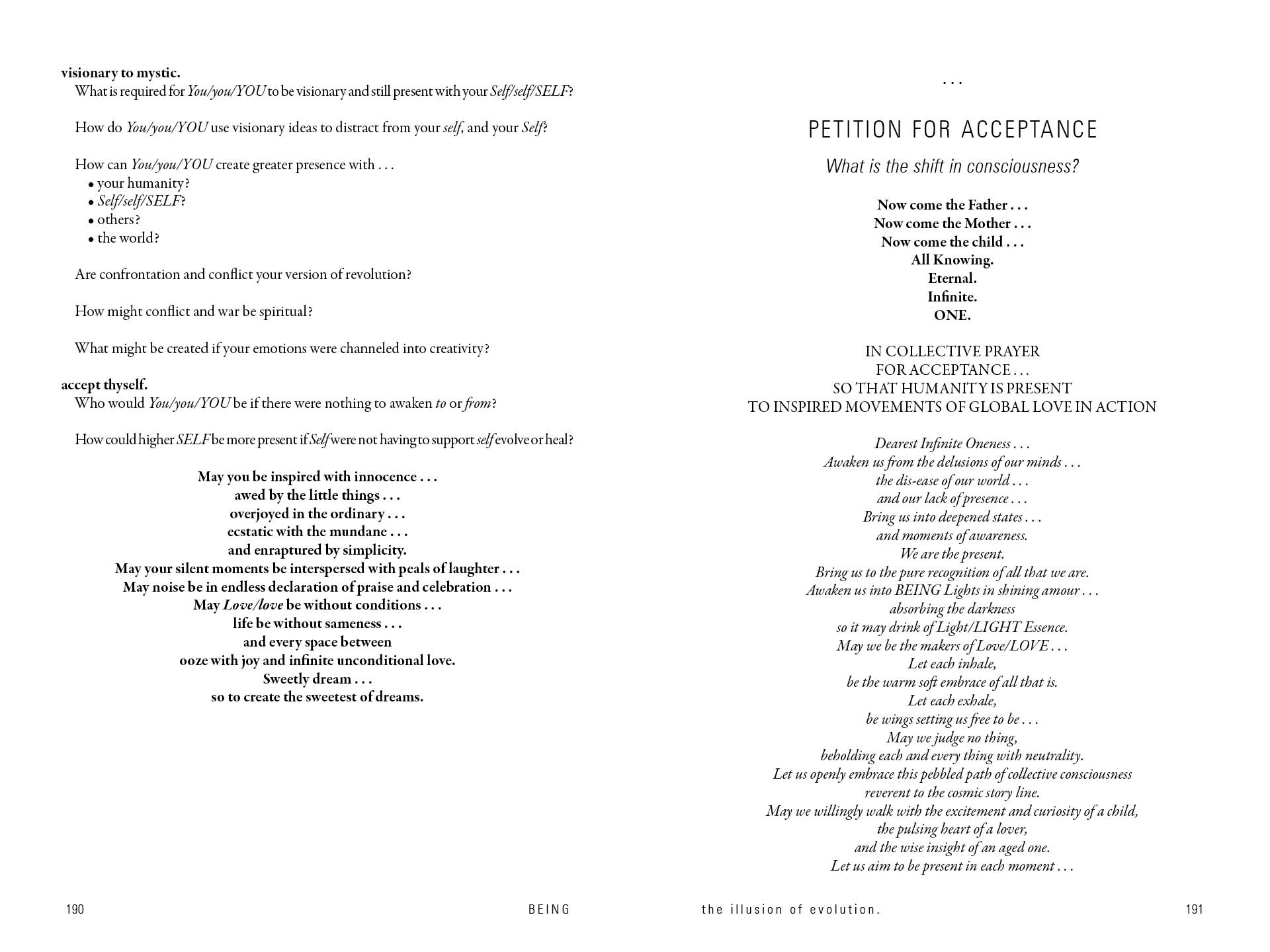 Being by Schiffer Publishing - Image 5