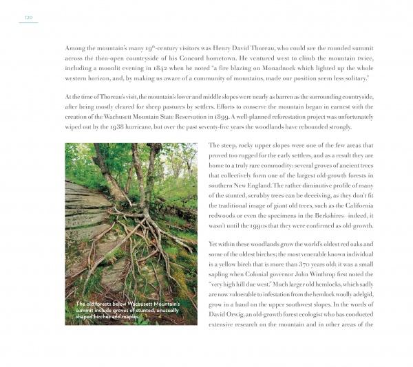 Central Massachusetts Perspectives by Schiffer Publishing - Image 4