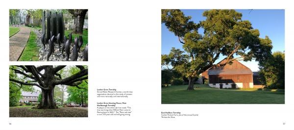 Chester County by Schiffer Publishing - Image 4