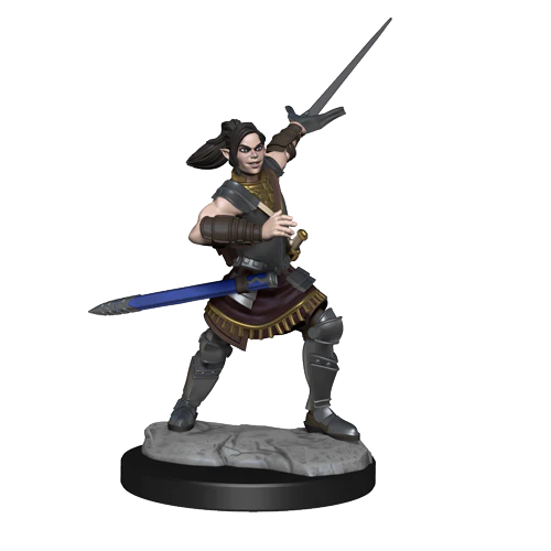 Critical Role: Half-Elf Paladin Xhorhas Female - Image 3