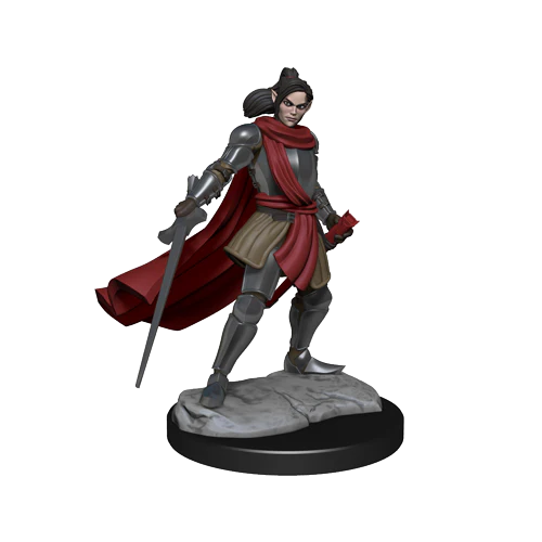 Critical Role: Half-Elf Paladin Xhorhas Female - Image 4