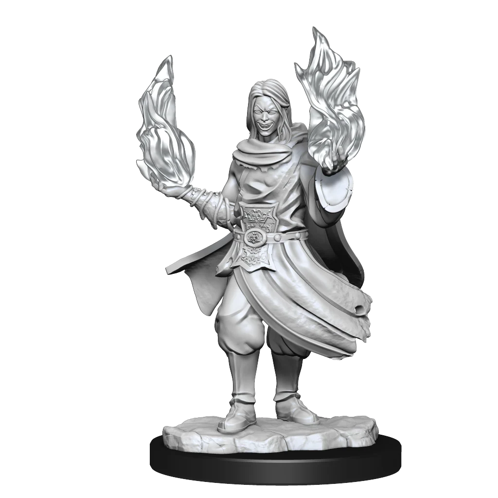 Critical Role: Hollow One Rogue and Sorceror Male - Image 2