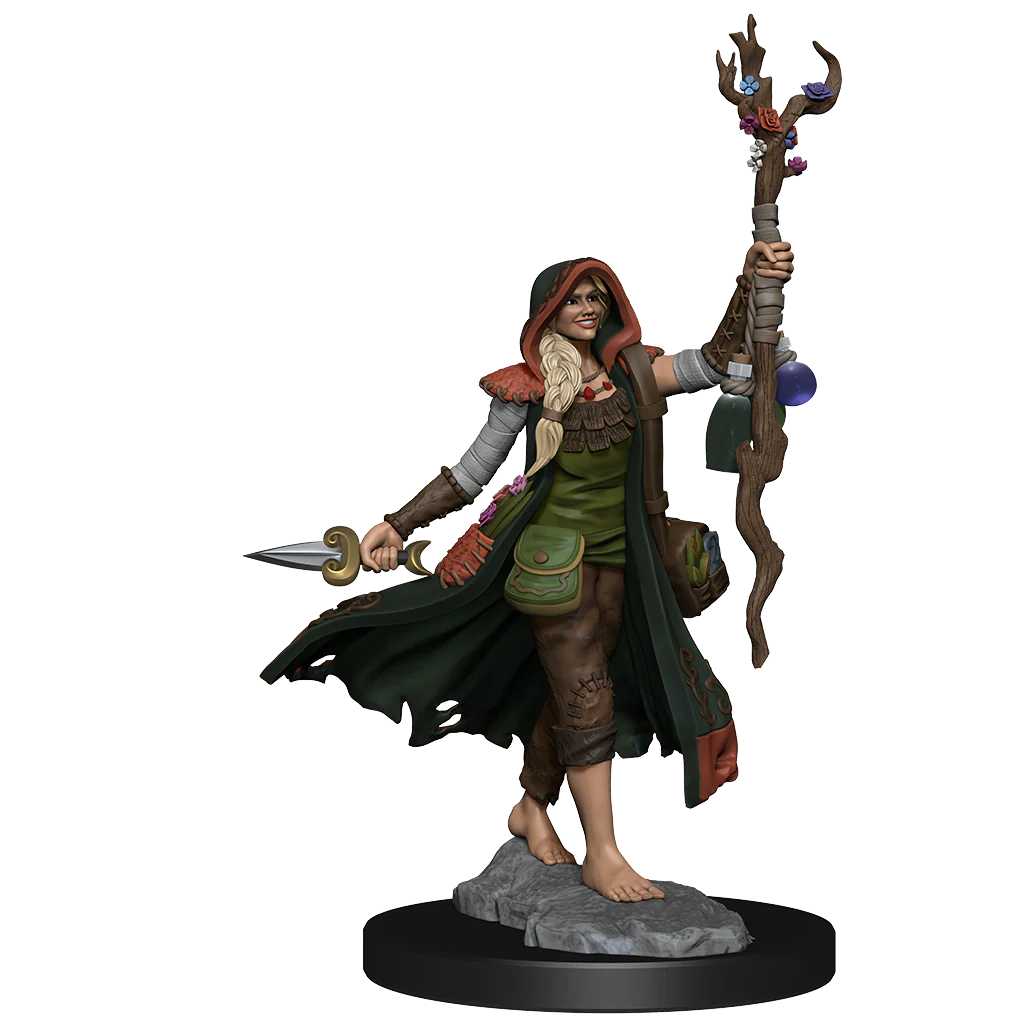 D&D: Frameworks - Human Druid Female - Image 2