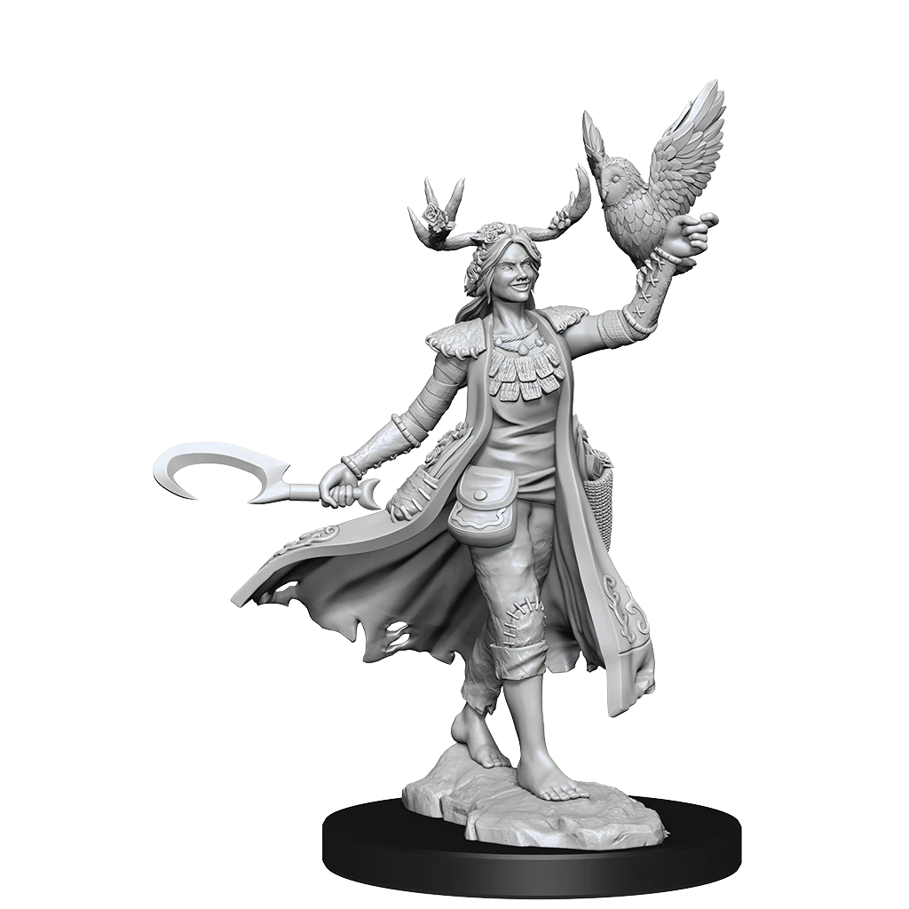 D&D: Frameworks - Human Druid Female - Image 3