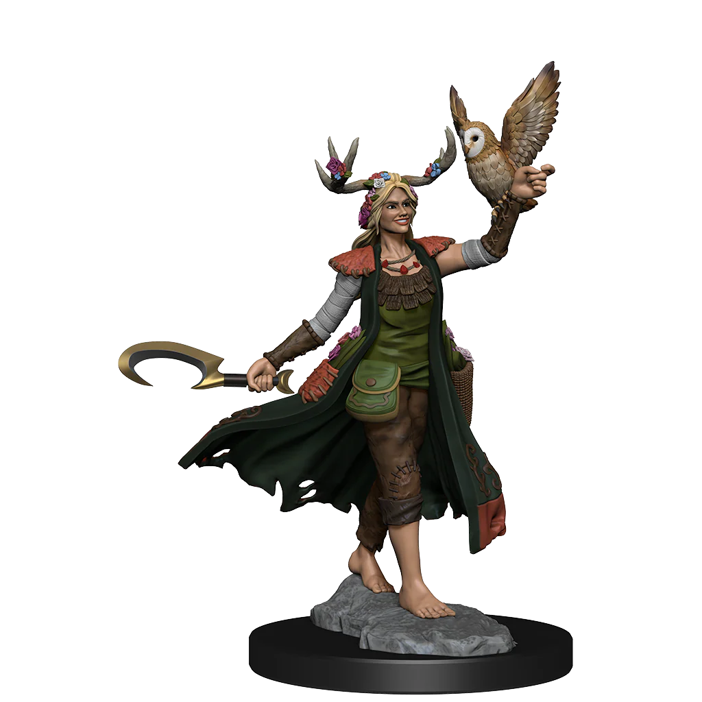 D&D: Frameworks - Human Druid Female - Image 4