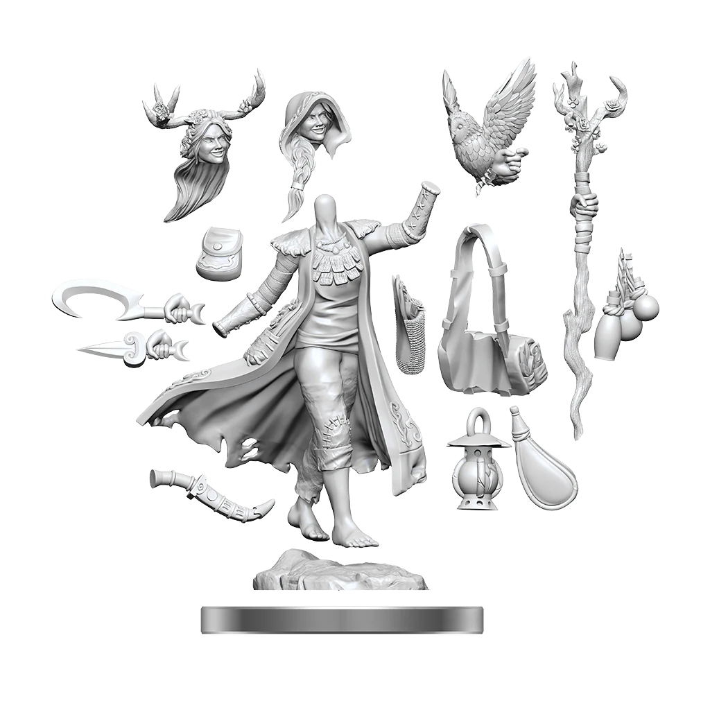 D&D: Frameworks - Human Druid Female - Image 5