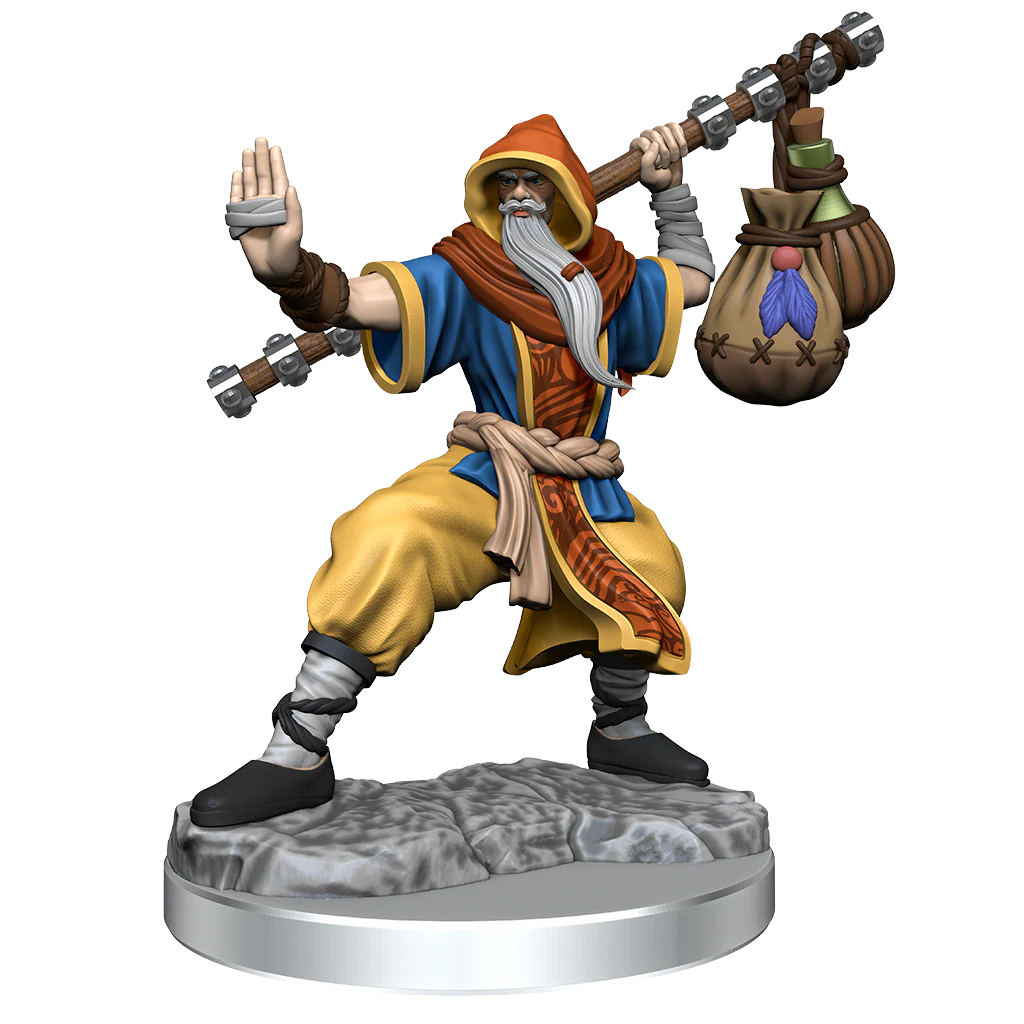 D&D: Frameworks - Human Monk Male - Image 2