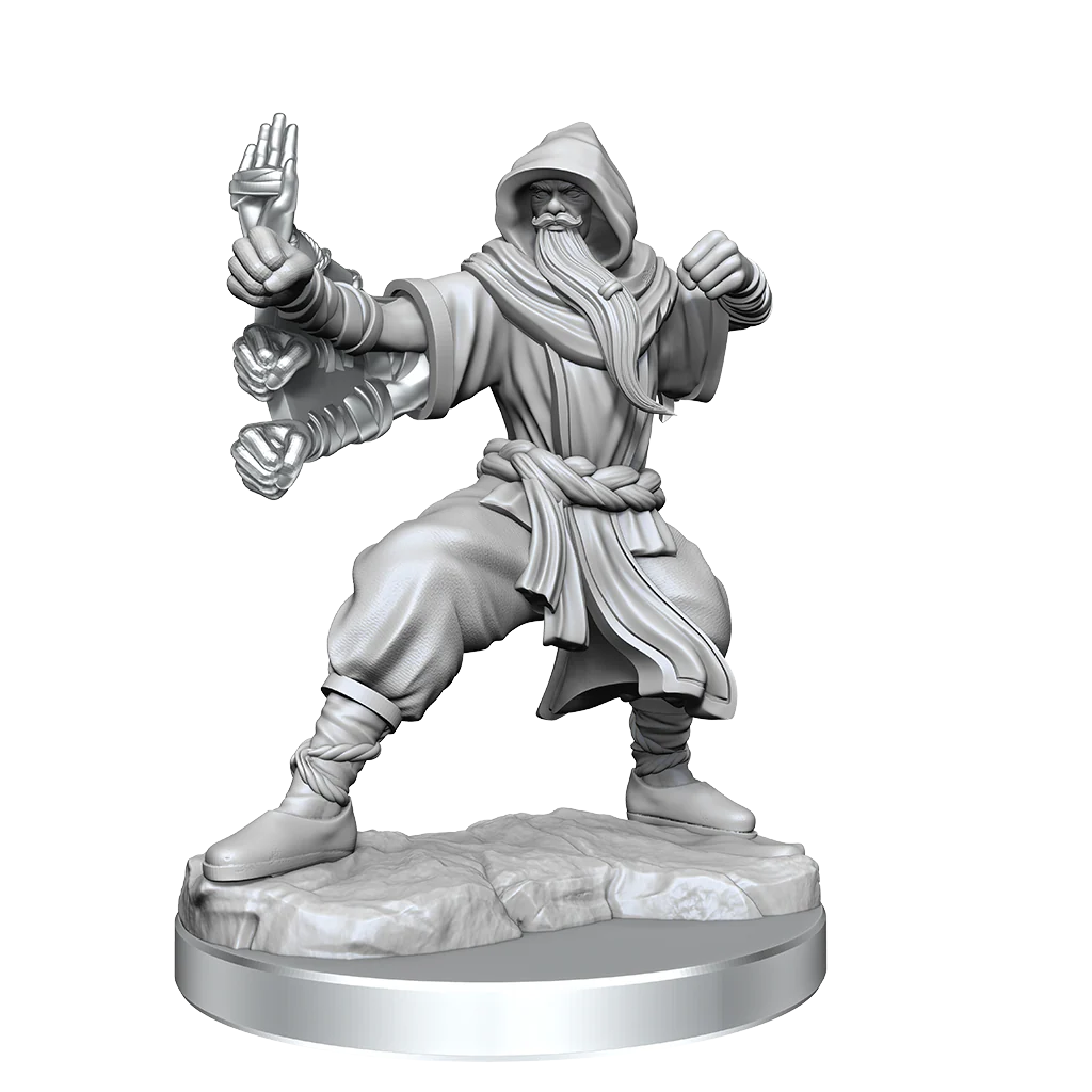 D&D: Frameworks - Human Monk Male - Image 5
