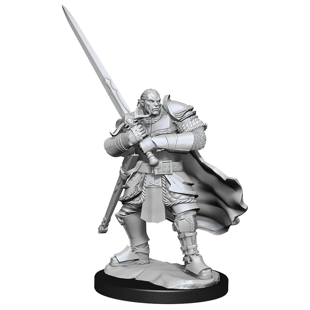 D&D: Nolzur's Marvelous Miniatures - Half-Orc Paladin Male - Image 3