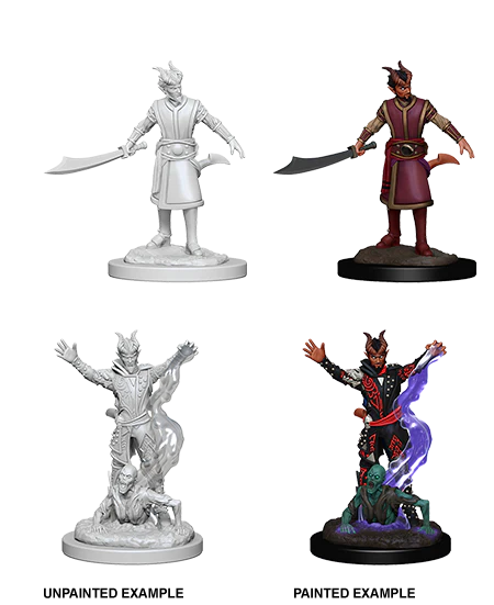D&D: Nolzur's Marvelous Miniatures - Tiefling Male Warlock