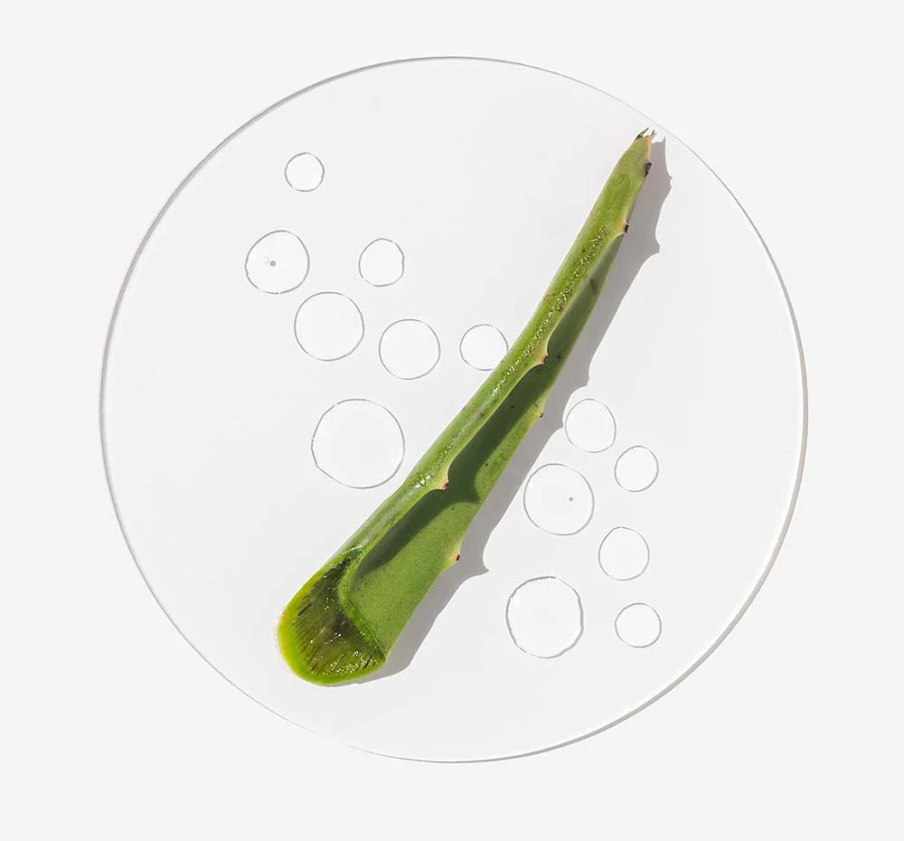 Day Breakthru by FarmHouse Fresh skincare - Image 3