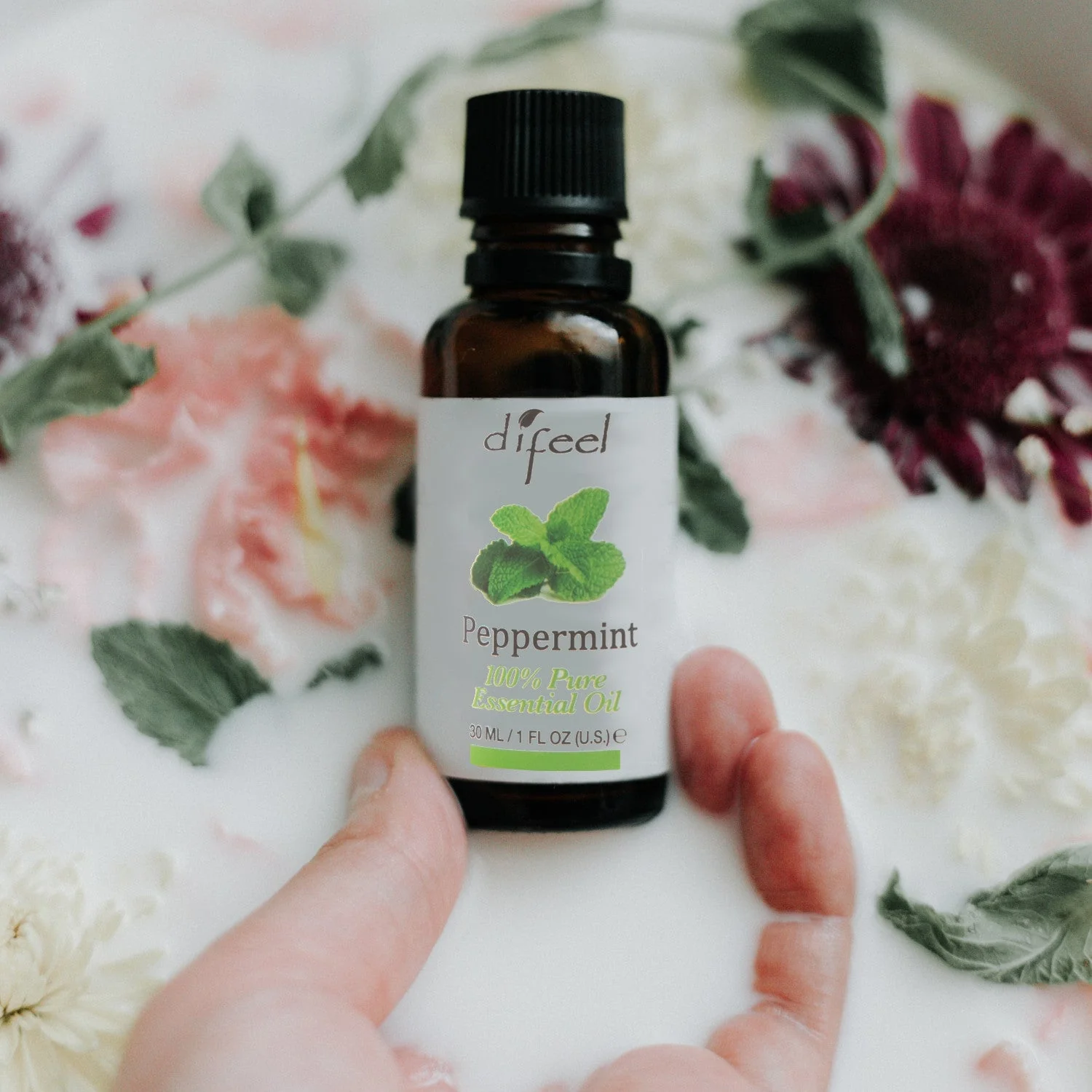 Difeel 100% Pure Essential Oil - Peppermint Oil 1 oz. by difeel - find your natural beauty - Image 3