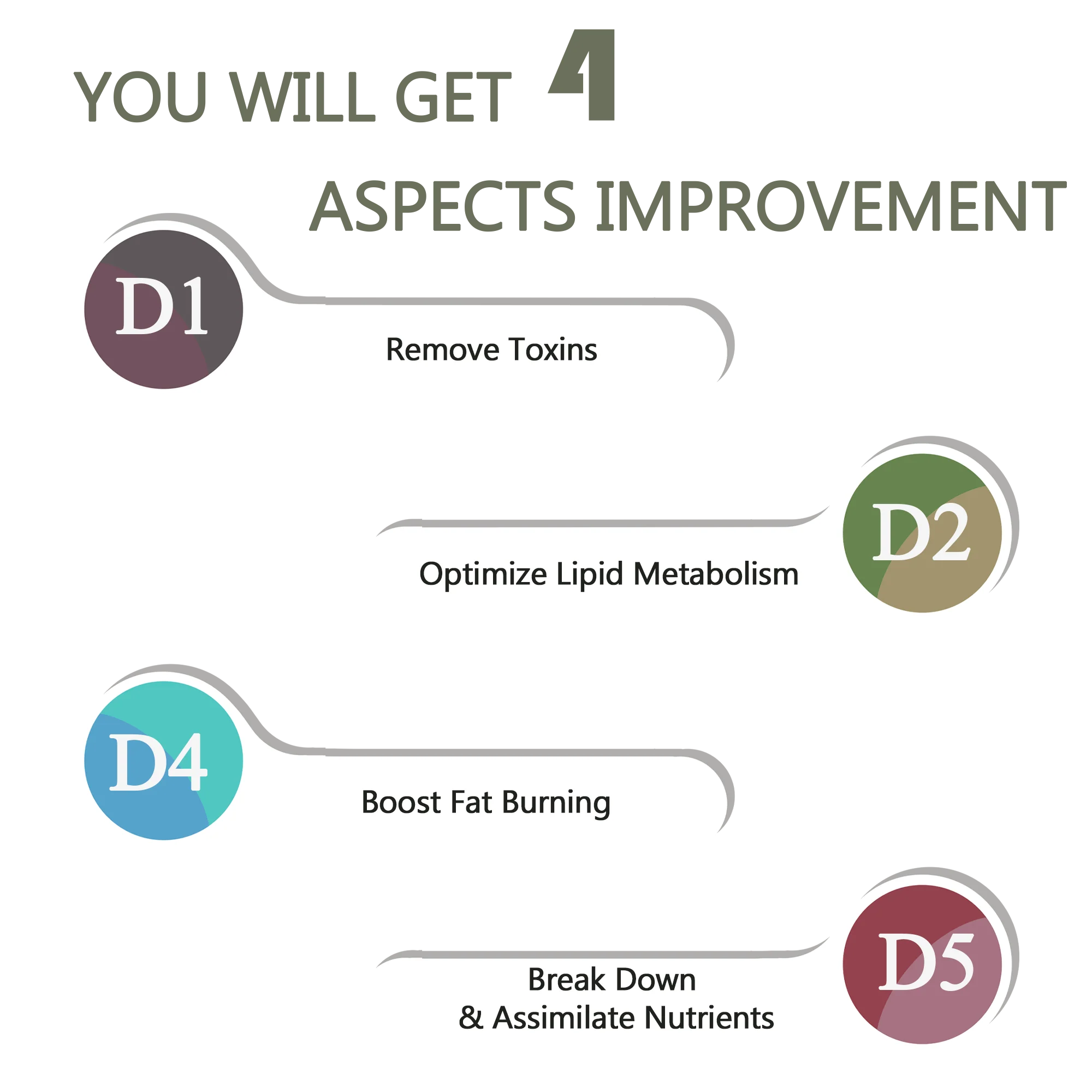Digestive Conditioning Set by A Quality Life Nutrition - Image 2