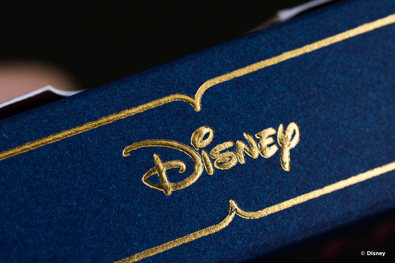 Disney Princess Inspired Playing Cards by Bicycle- Navy - Image 7