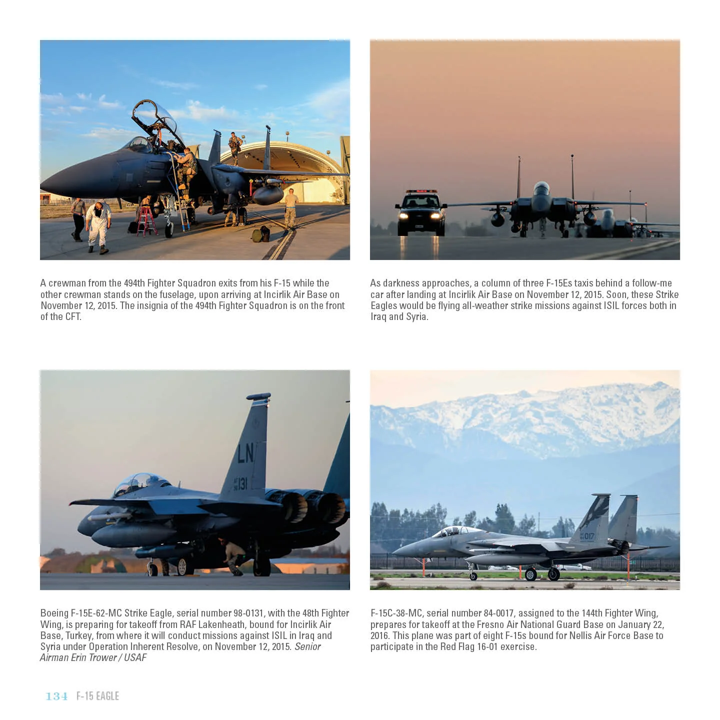 F-15 Eagle by Schiffer Publishing - Image 15