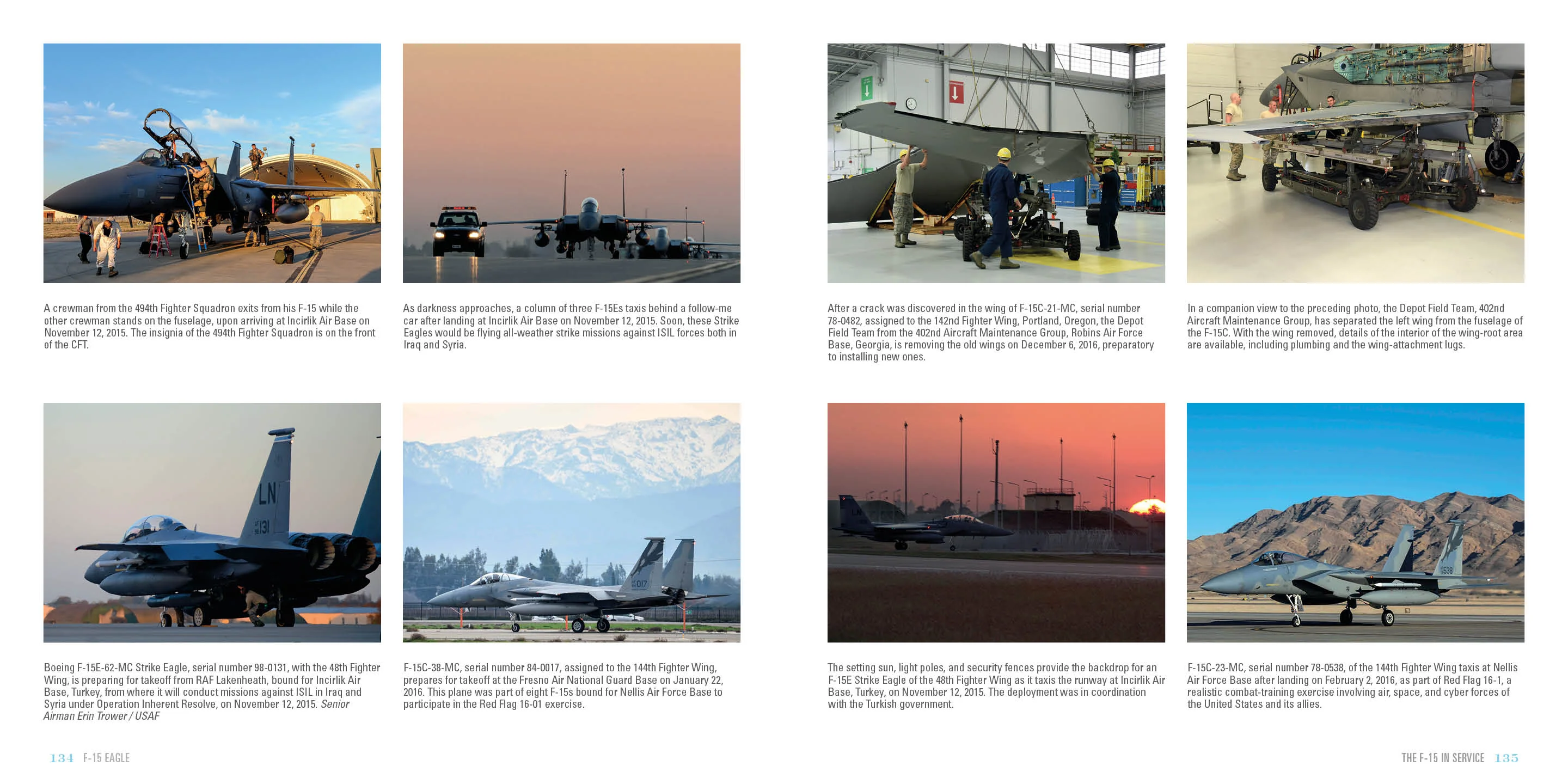 F-15 Eagle by Schiffer Publishing - Image 9