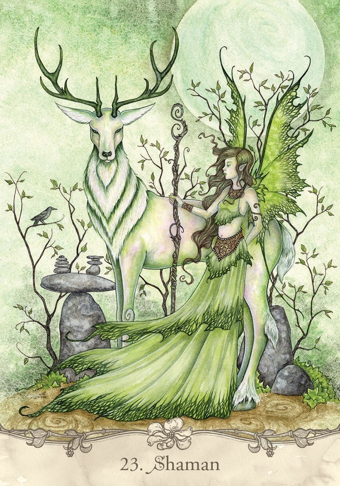 Fairy Wisdom Oracle Deck and Book Set - Image 4