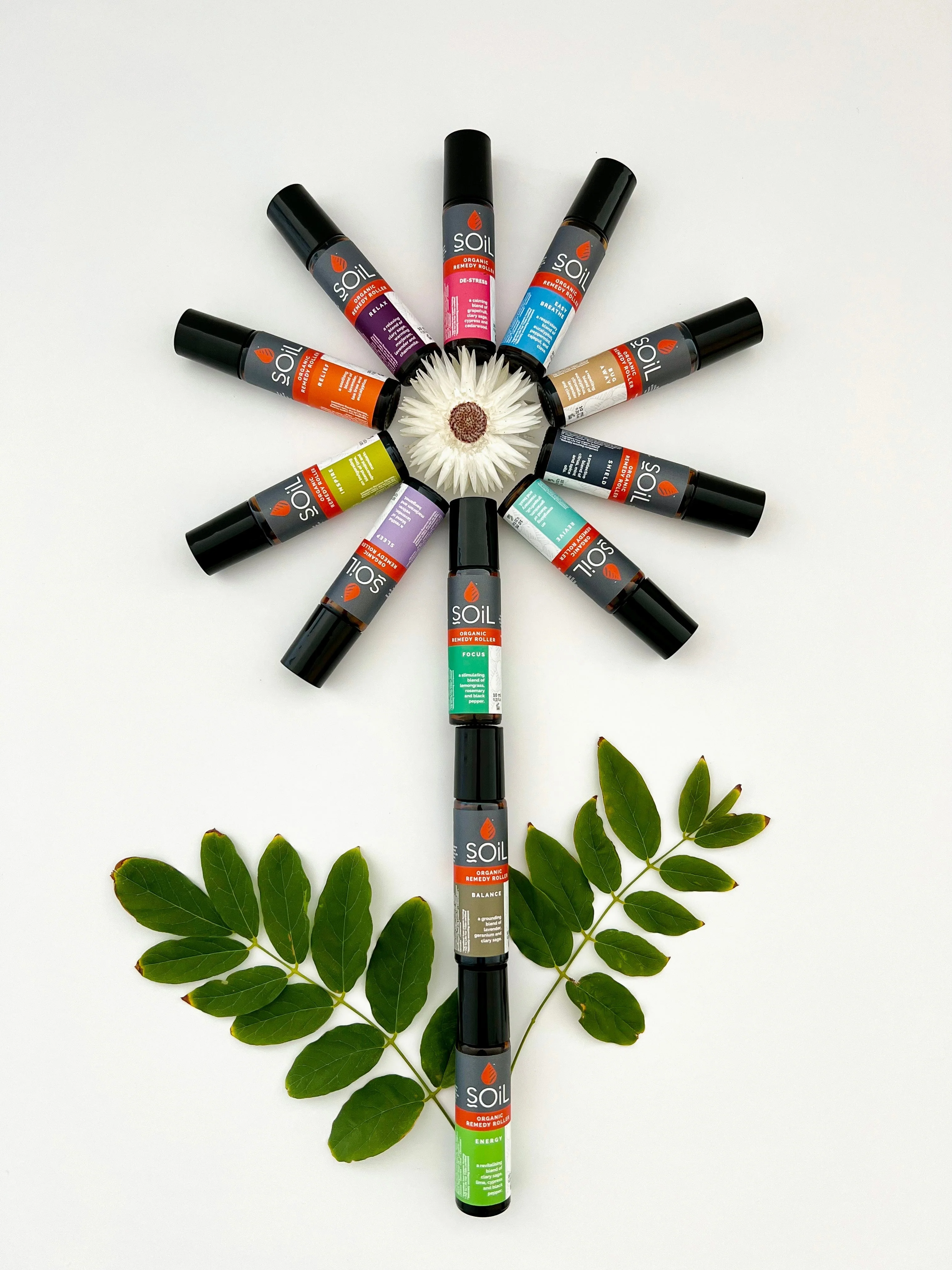Focus - Organic Remedy Roller 20ml by SOiL Organic Aromatherapy and Skincare - Image 6