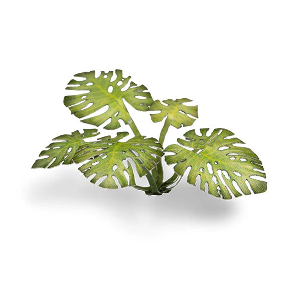 Gamers Grass Laser Plants: Monstera - Image 2