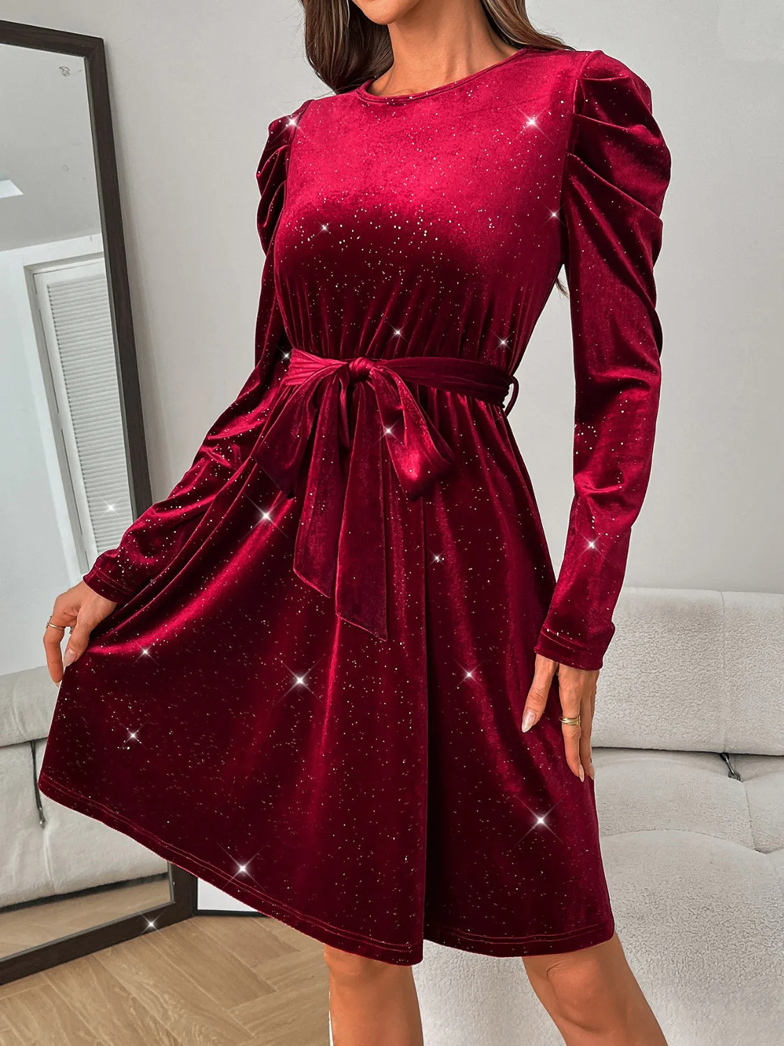 Glitter Round Neck Puff Sleeve Dress - Image 8