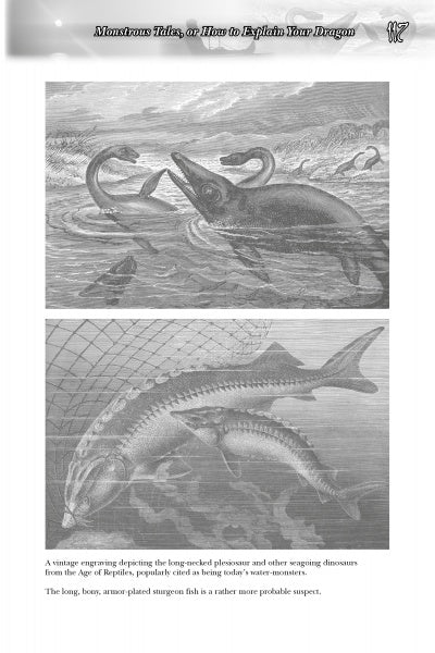 Great Lakes Folklore by Schiffer Publishing - Image 4
