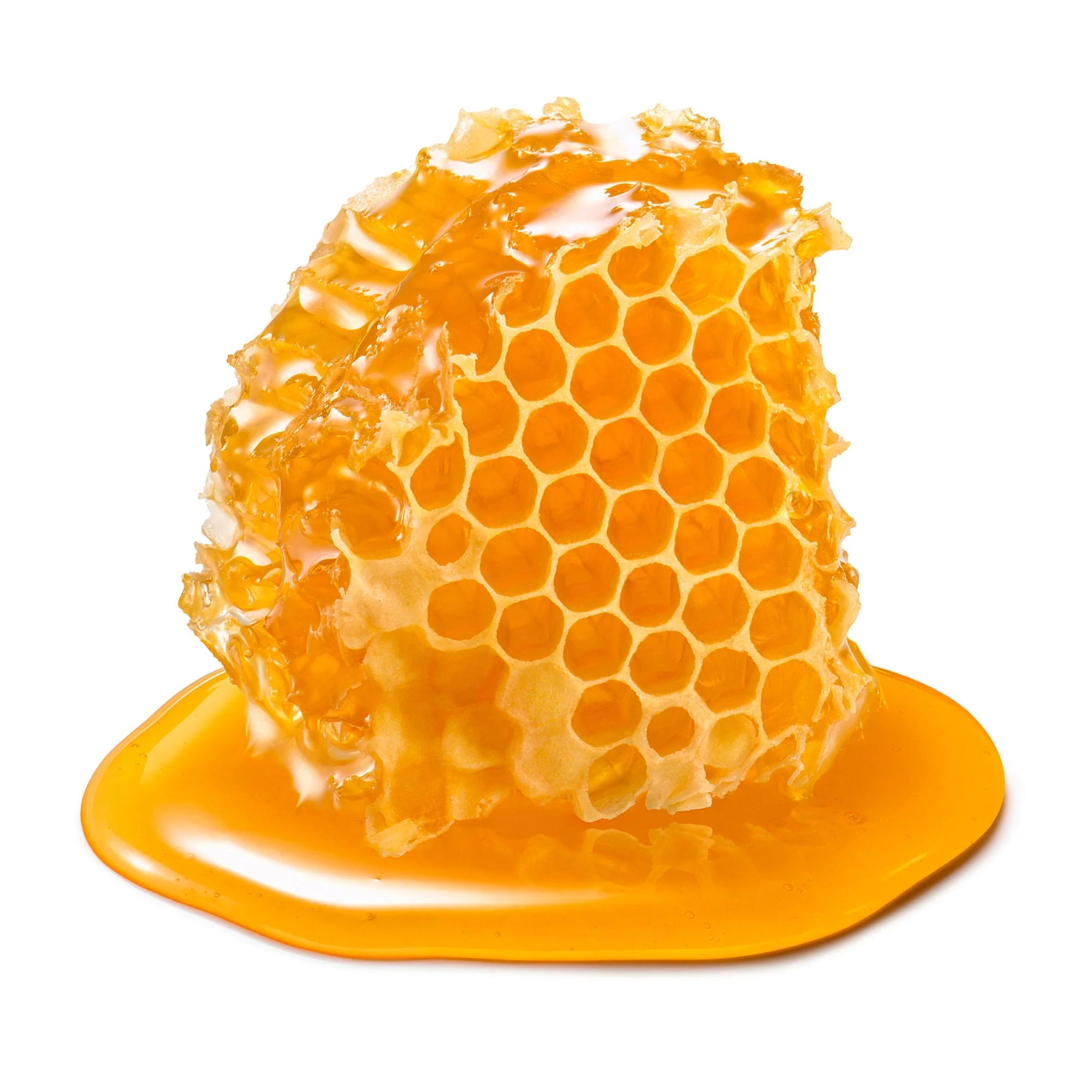 Honey Royal Jelly Under Eye Cream by EarthToSkin - Image 3