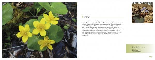 Hudson Valley Reflections by Schiffer Publishing - Image 3