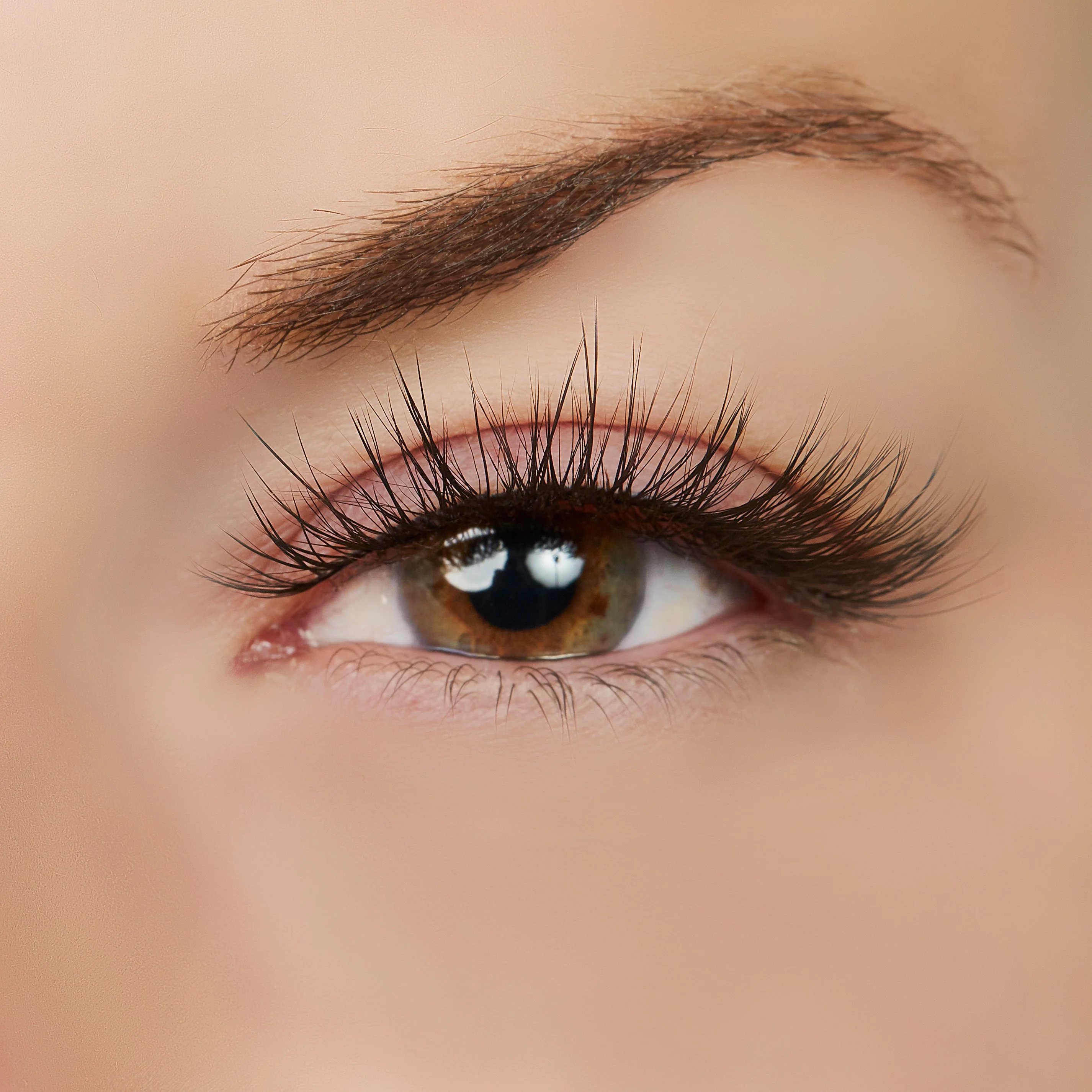 Hustle in Heels Lash Style by True Beauty Lashes - Image 2