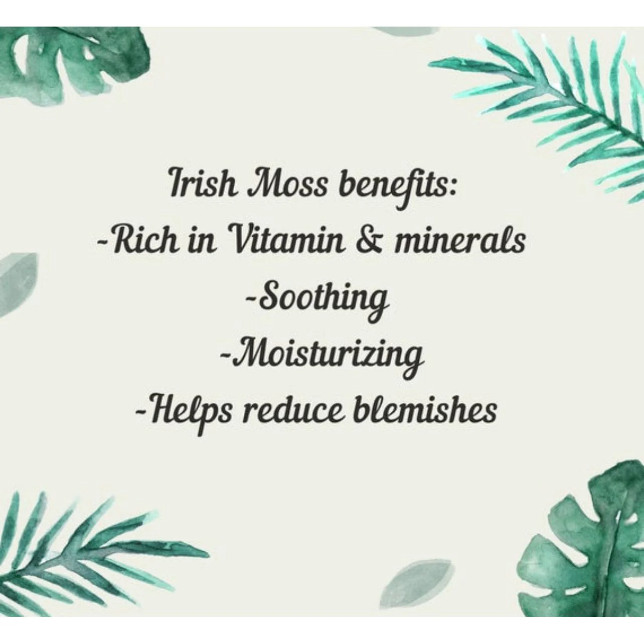 Irish Moss & Soothing Calendula Body Oil by KathyRoseNaturals - Image 3
