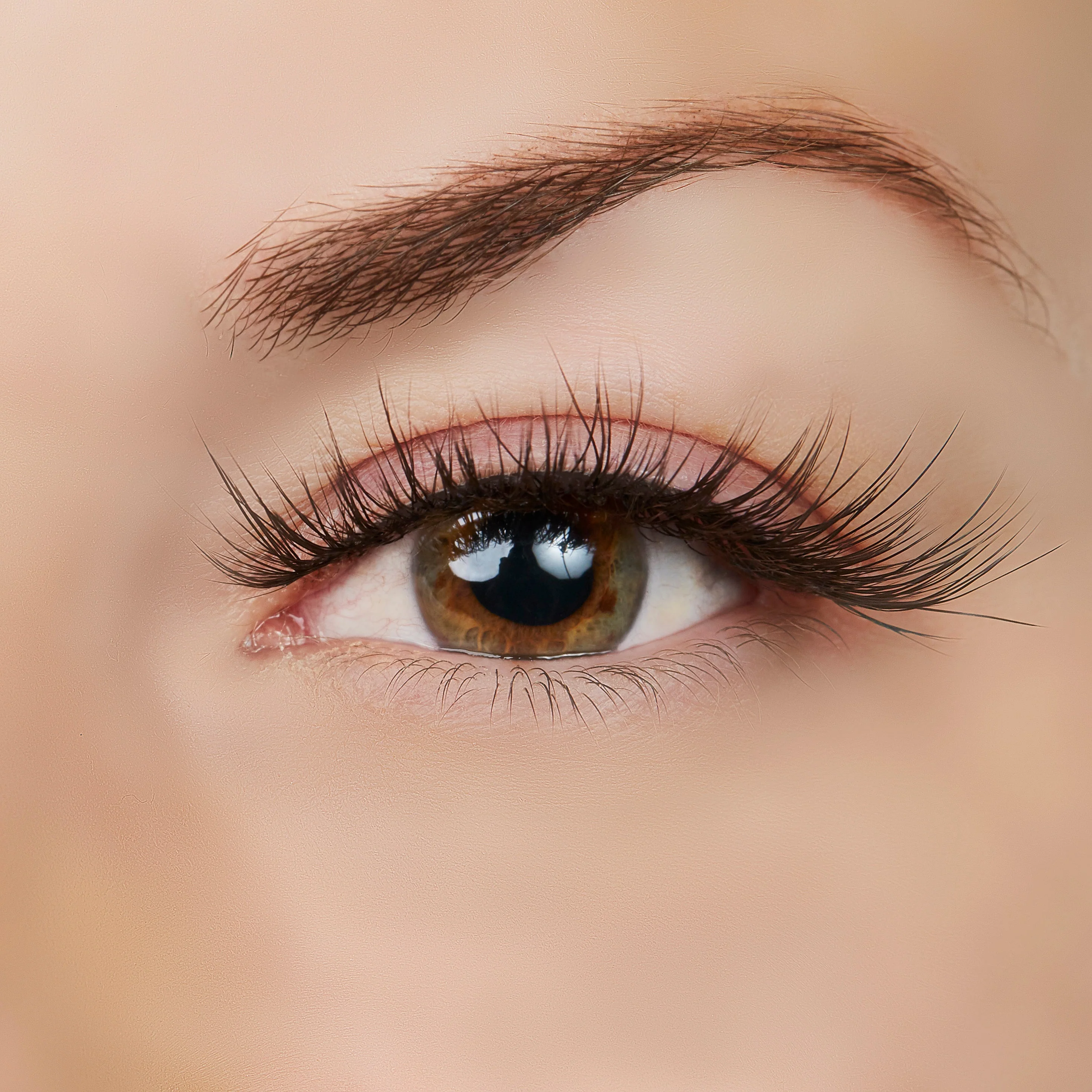 Isn't She Lovely? Lash Style by True Beauty Lashes - Image 2