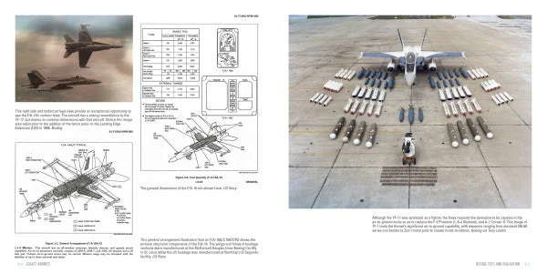 Legacy Hornets by Schiffer Publishing - Image 4