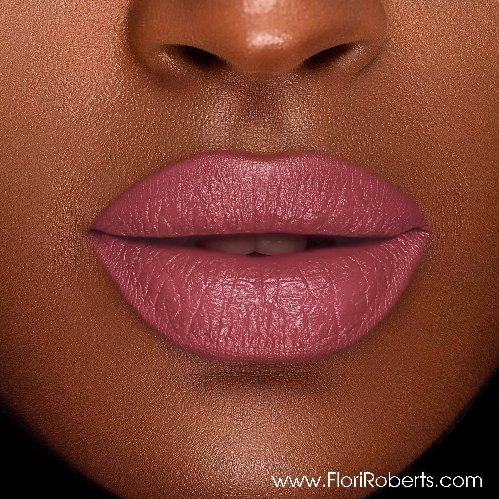 Luxury Demi-Matte Lipstick by Color Me Beautiful - Image 18