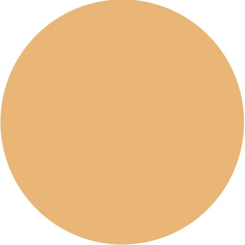 Luxury Oil Blotting Pressed Powder by Color Me Beautiful - Image 5