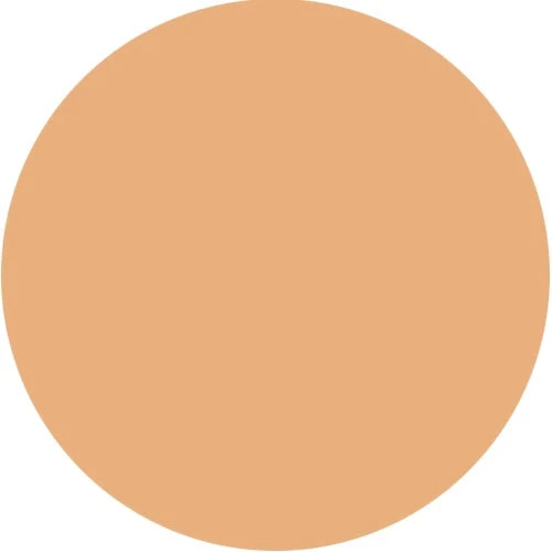 Luxury Oil Blotting Pressed Powder by Color Me Beautiful - Image 6