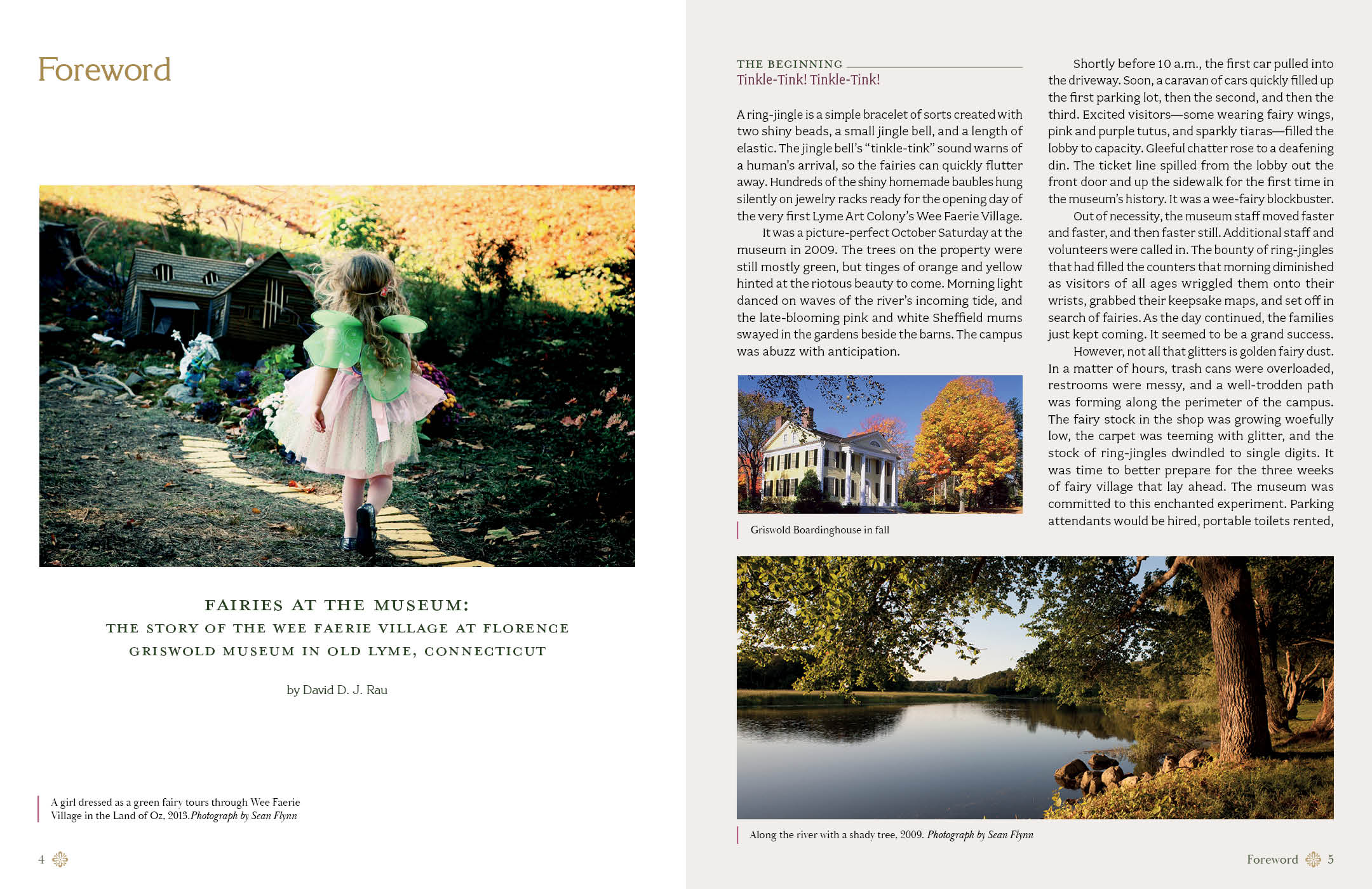 Magical Fairy Homes and Gardens by Schiffer Publishing - Image 3