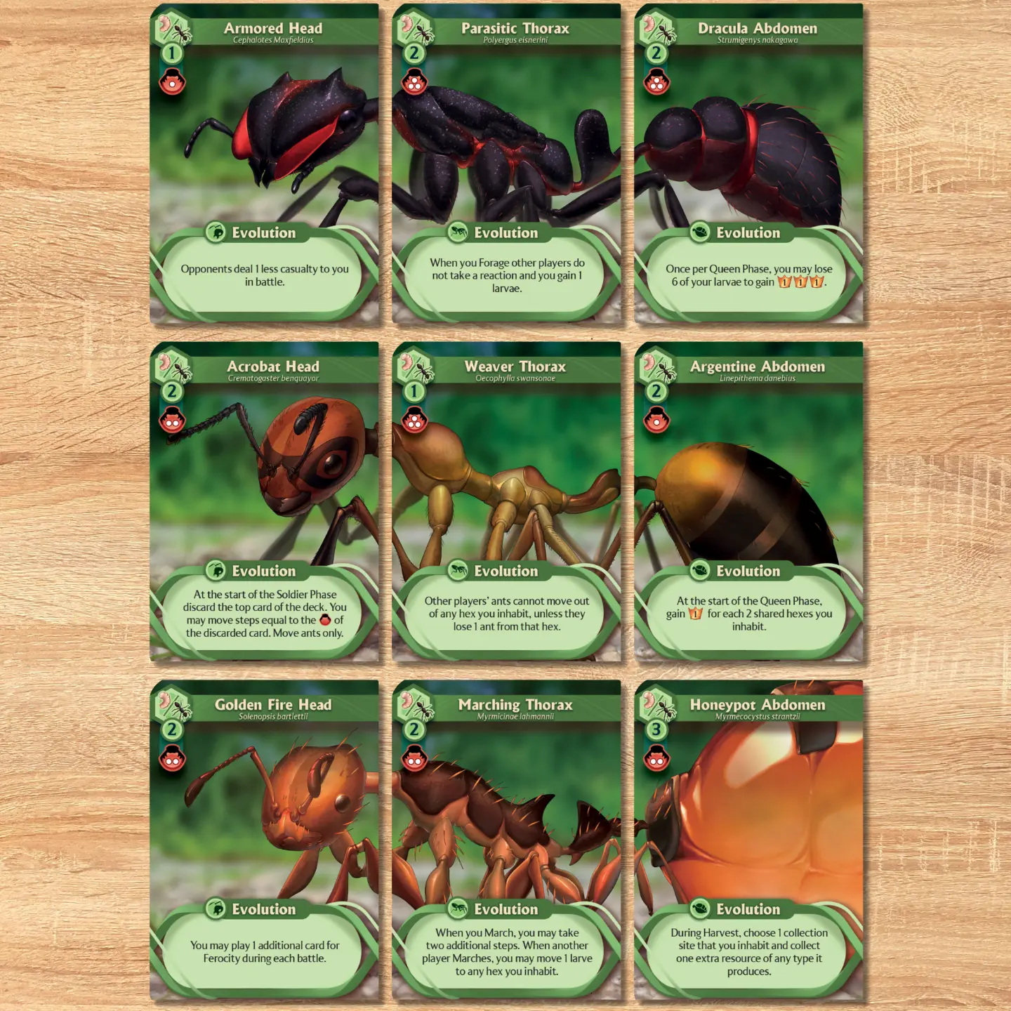March of the Ants: Evolved Edition - Image 3