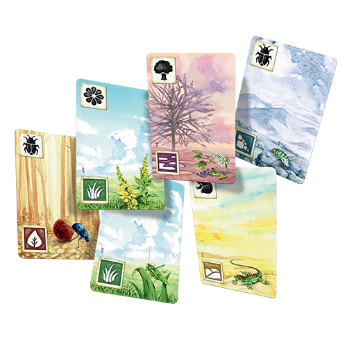 Meadow - Image 4