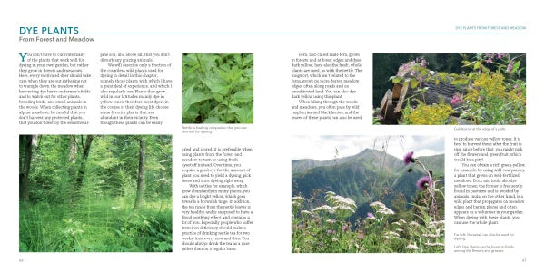 Natural Dyeing with Plants by Schiffer Publishing - Image 5