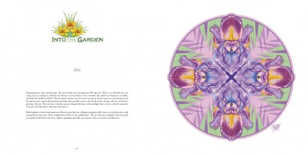 Nature Mandalas Wonders of the Garden by Schiffer Publishing - Image 3