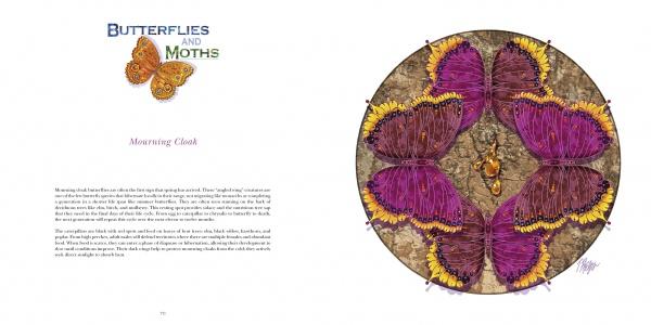 Nature Mandalas Wonders of the Garden by Schiffer Publishing - Image 4