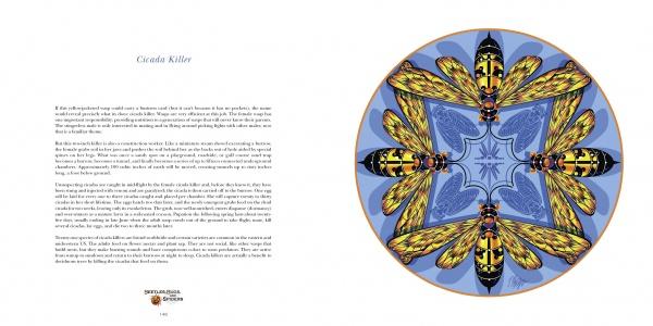Nature Mandalas Wonders of the Garden by Schiffer Publishing - Image 5