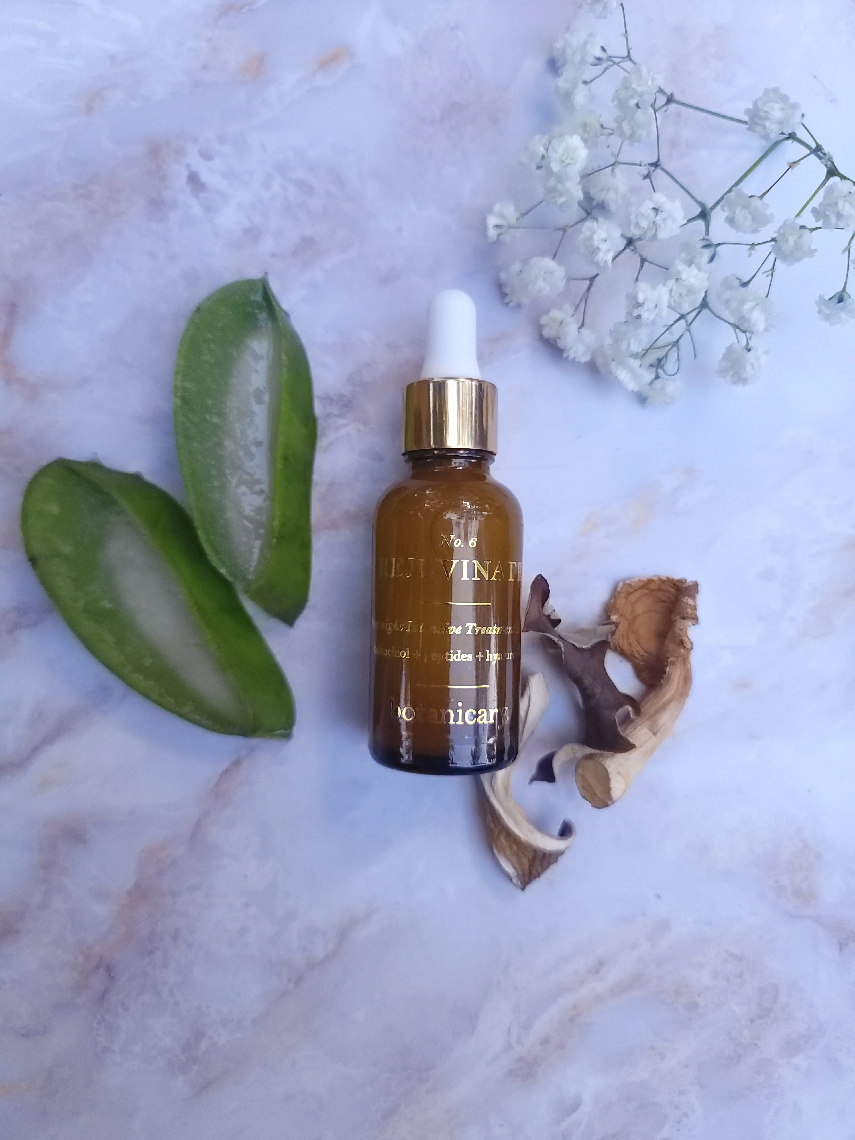No. 6 REJUVENATE - Overnight Intensive Treatment Elixir by Botanicary Skincare - Image 8