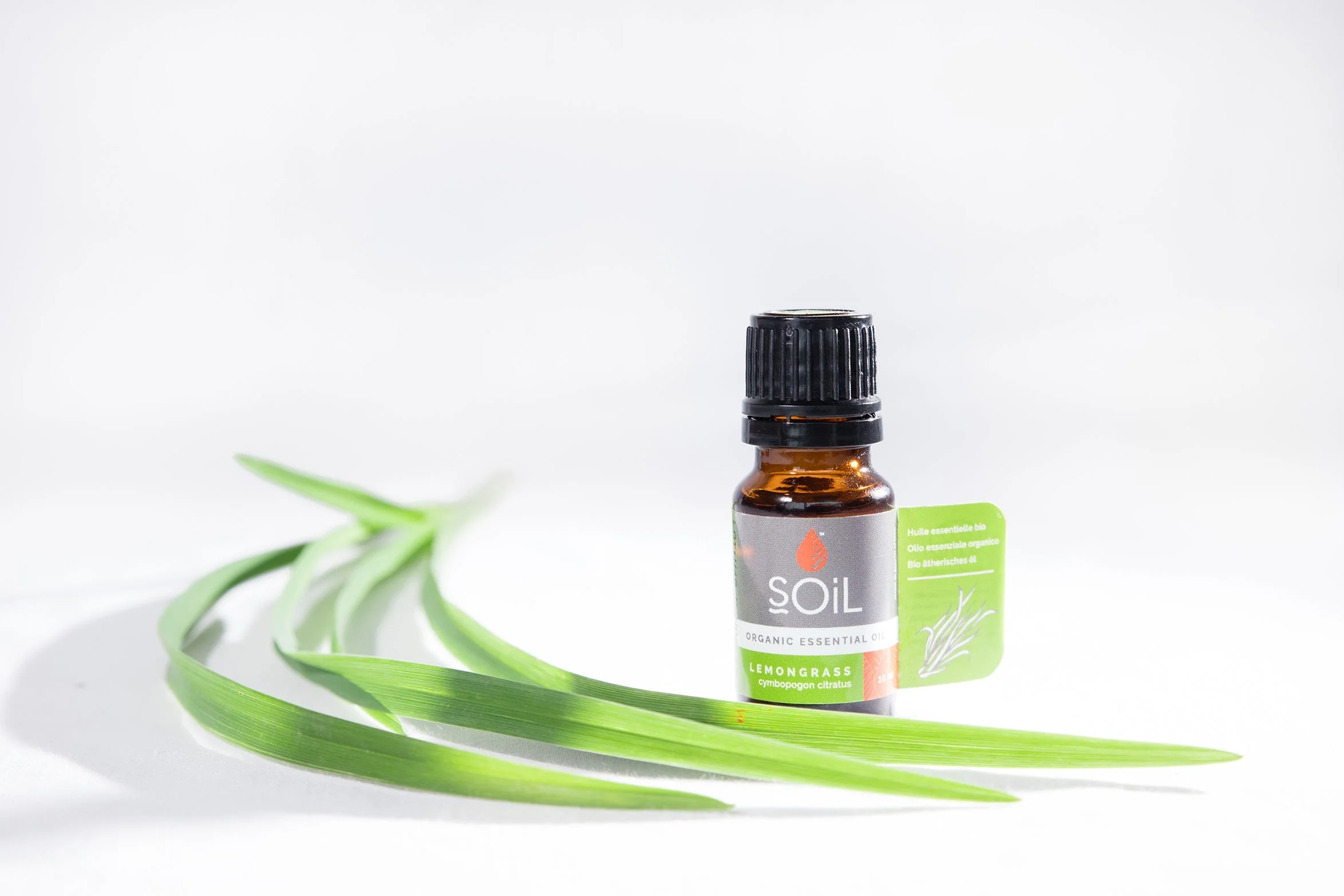 Organic Lemongrass Essential Oil (Cymbopogon Citratus) 10ml by SOiL Organic Aromatherapy and Skincare - Image 2