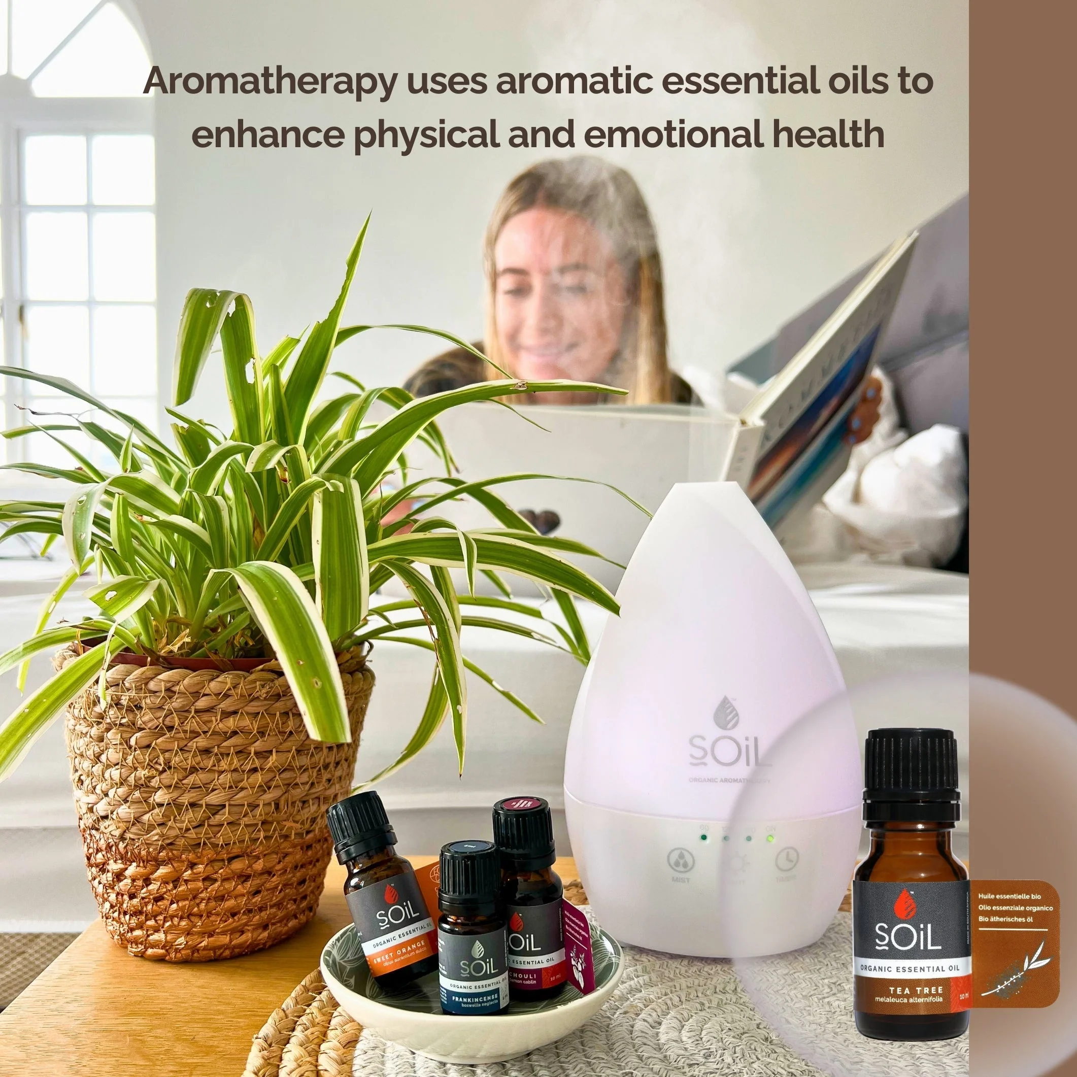 Organic Tea Tree Essential Oil (Melaleuca Alternifolia) 10ml by SOiL Organic Aromatherapy and Skincare - Image 4